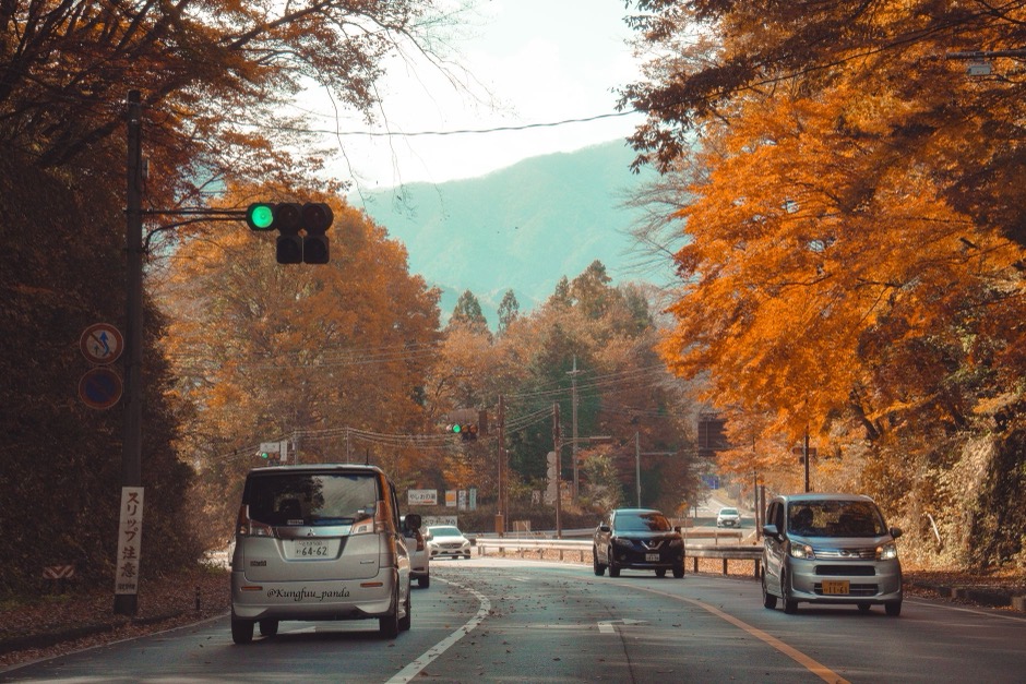 Autumn foliage on a mountain road in Nikko, in Japan's Kanto region