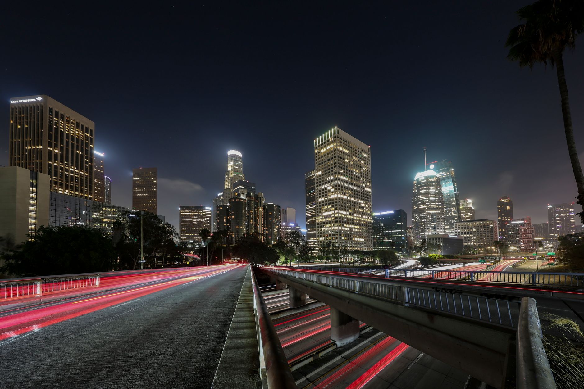 The Los Angeles skyline with palm trees in the foreground
