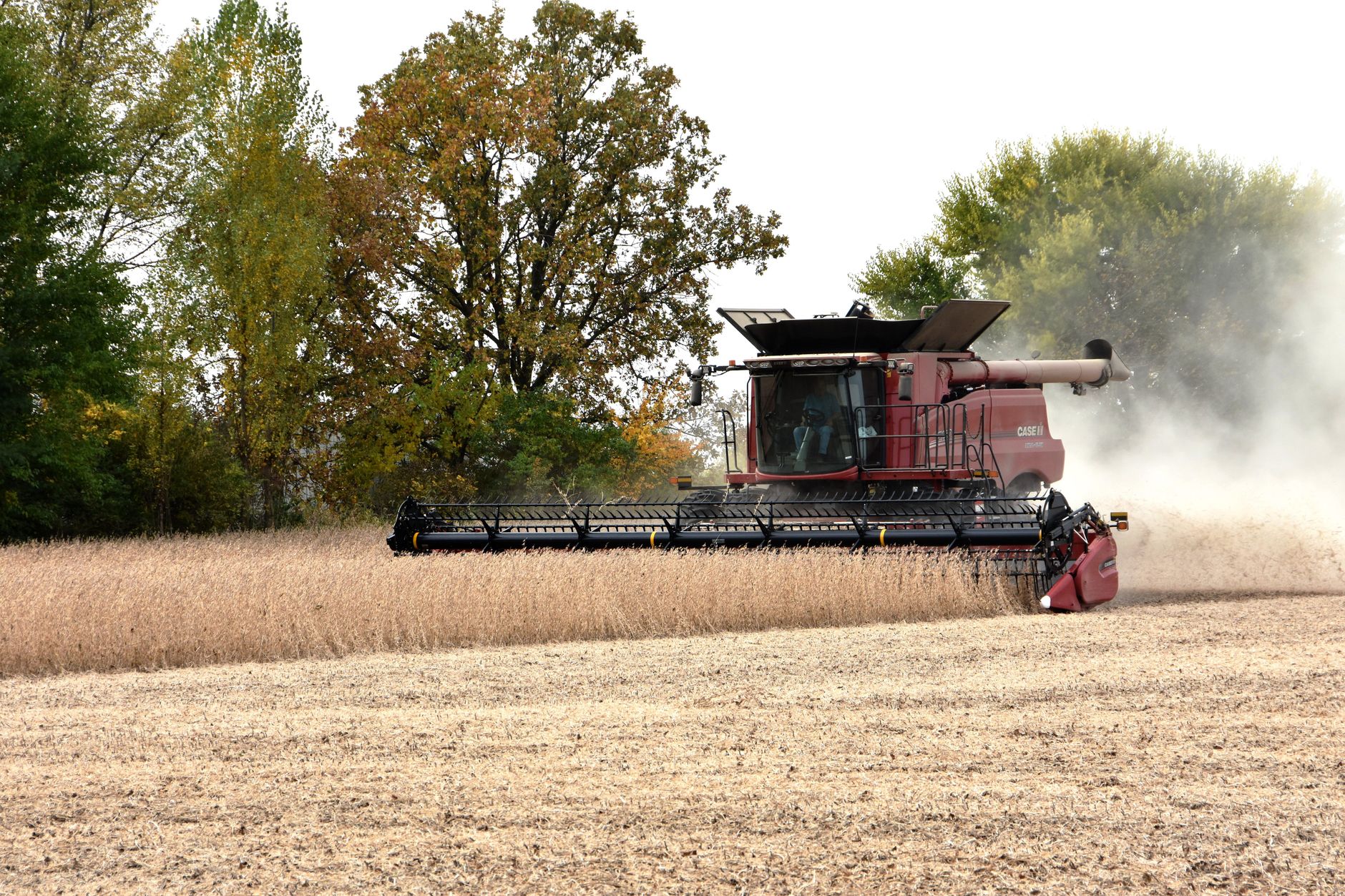 Combine harvester working a soybean field in Crete, Illinois